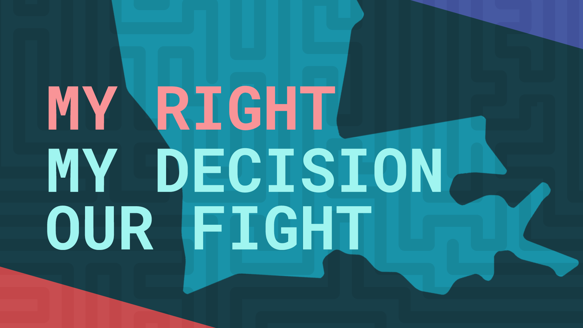 My Right. My Decision. Our Fight.